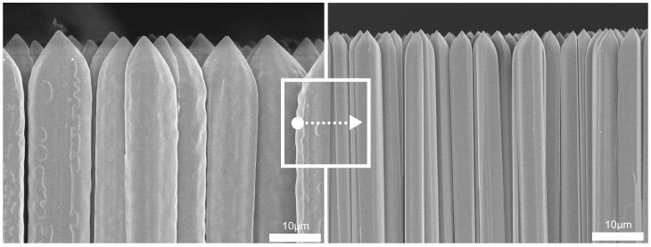 Electron micrograph of scintillator. New product's scintillator crystals is very thin and clear.