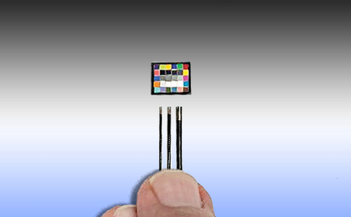 Image of Canon SV-2000 tips.